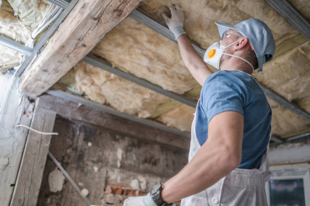 Best Specialized Insulation Services in Jefferson, GA